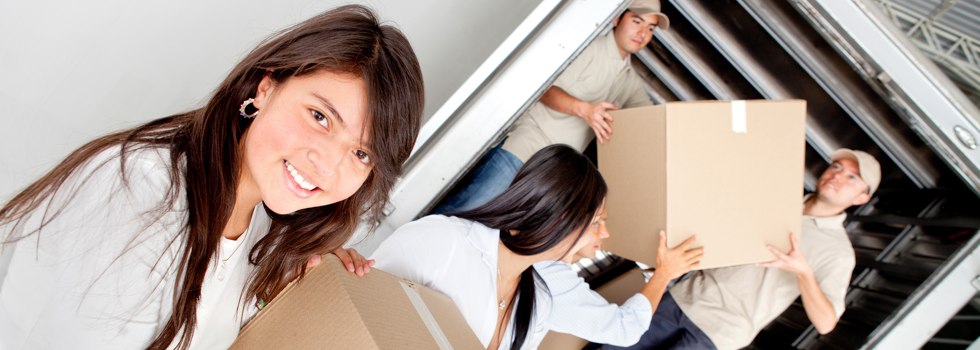 Professional Removalists Bray